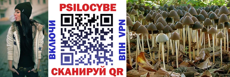 Псилоцибиновые грибы Psilocybe  Тырныауз 